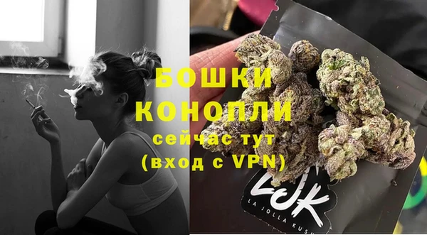гашик Данков