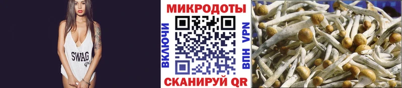 omg ссылки  Сертолово  Галлюциногенные грибы Cubensis 