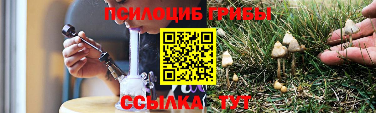 Галлюциногенные грибы Psilocybine cubensis Сертолово