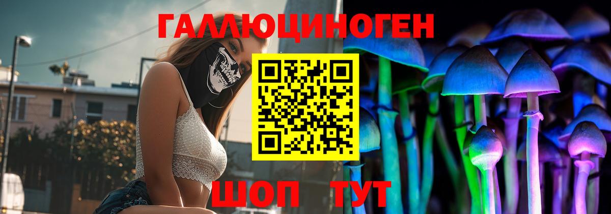 Сертолово  закладка  Вход с VPN  Галлюциногенные грибы GOLDEN TEACHER 