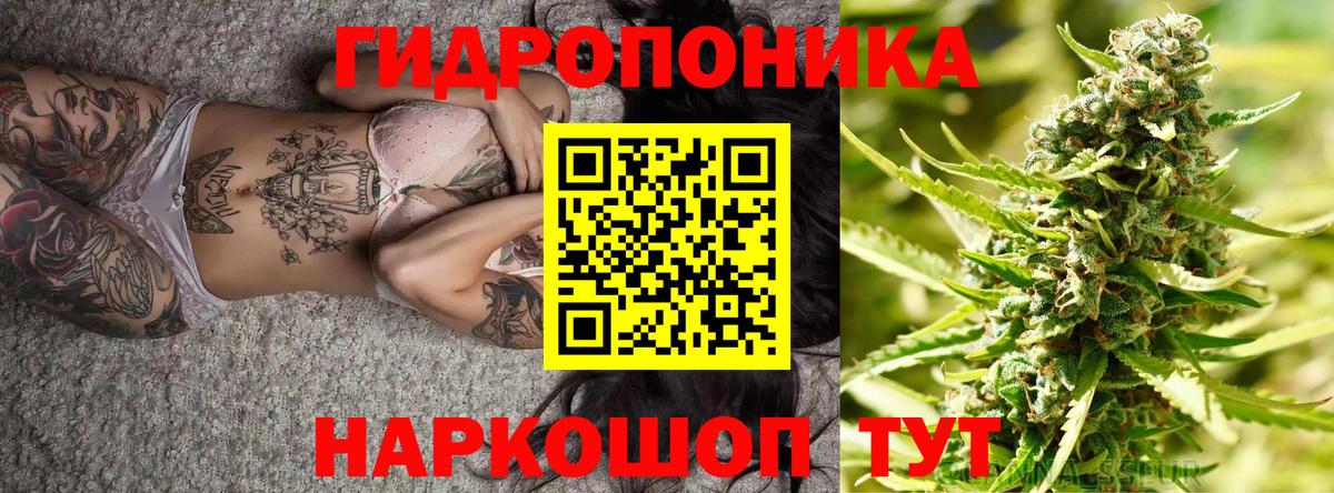 Канабис семена  Канабис Amnesia  Вход с VPN  Бошки марихуана THC 21%  Сертолово 